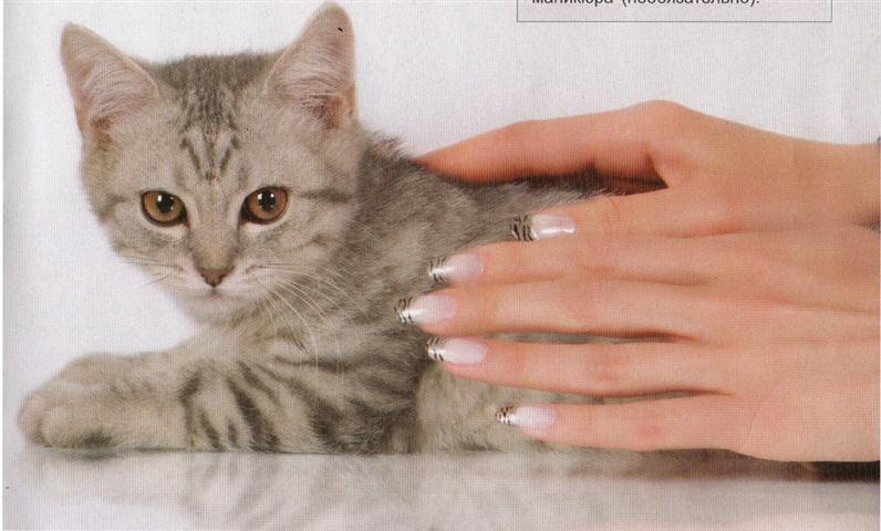 Рисунок на ногтях - Стальная кошка.