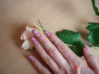 nails-art-61.jpg